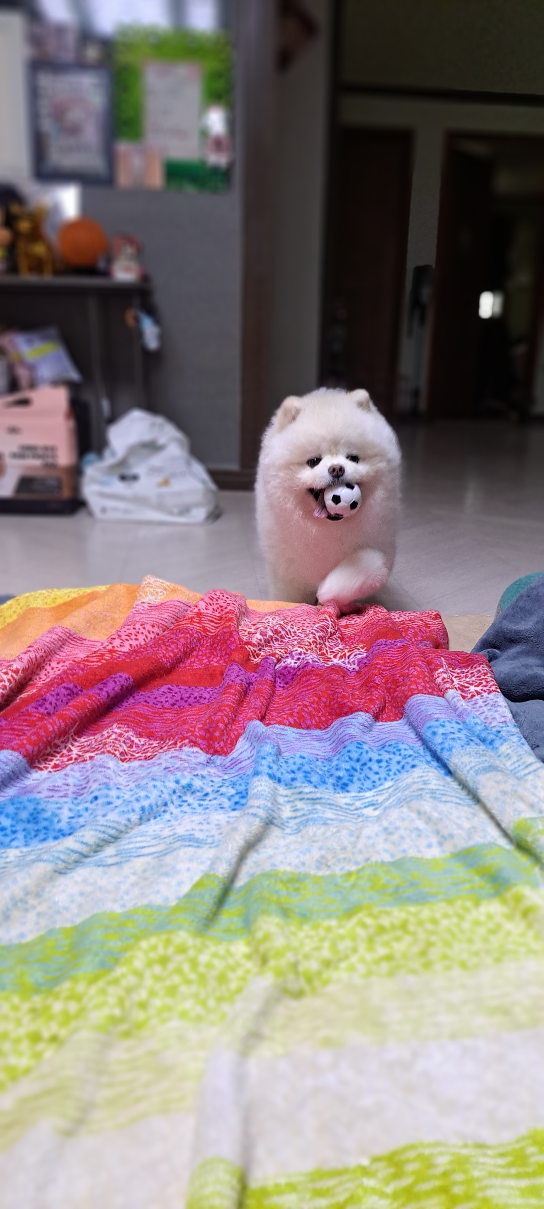 게시글 대표 이미지