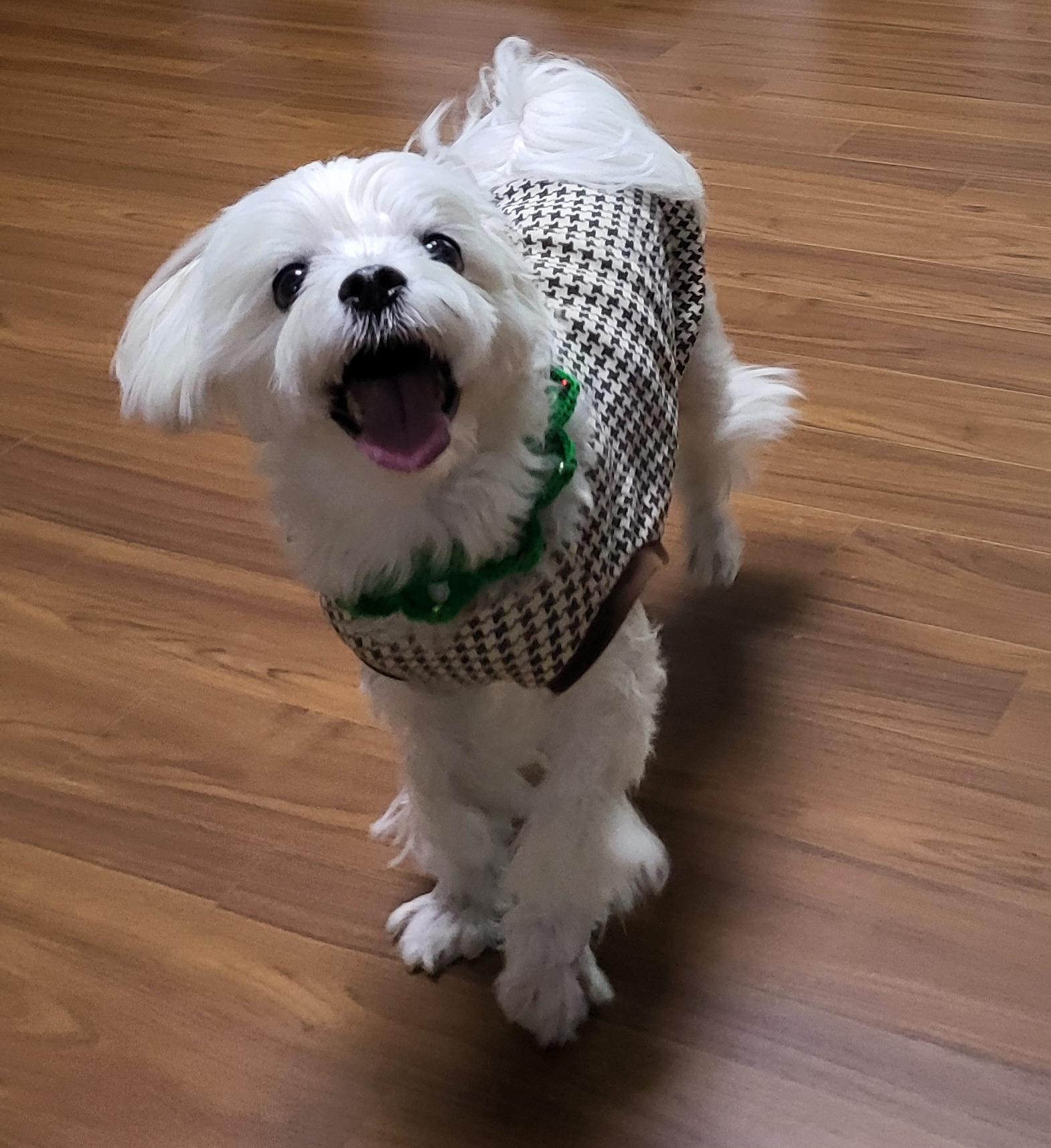 게시글 대표 이미지