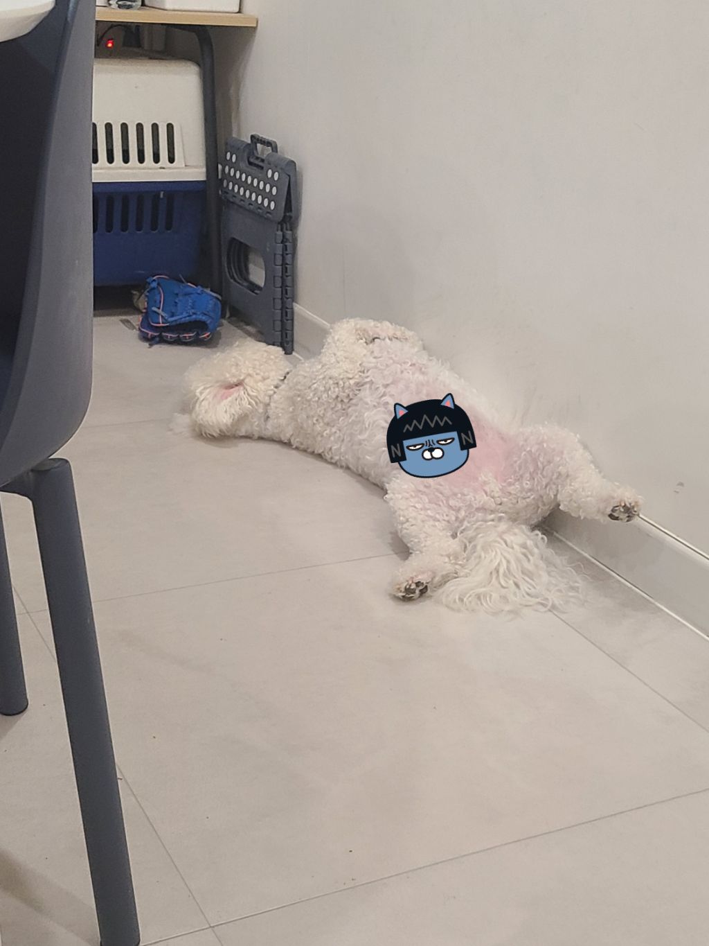 대표이미지