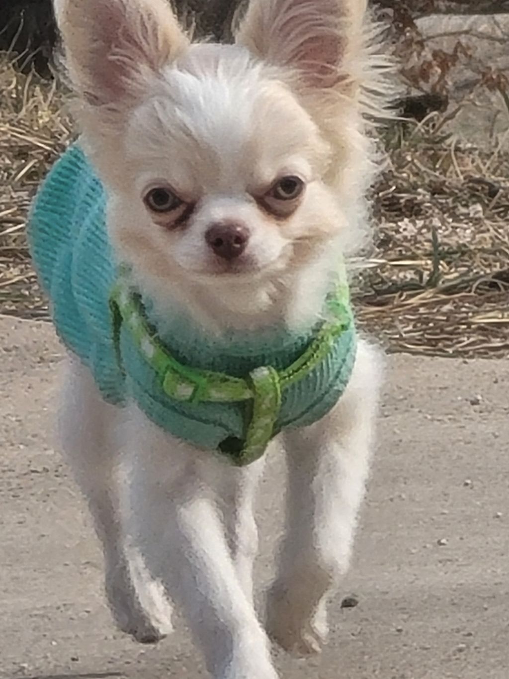 게시글 대표 이미지