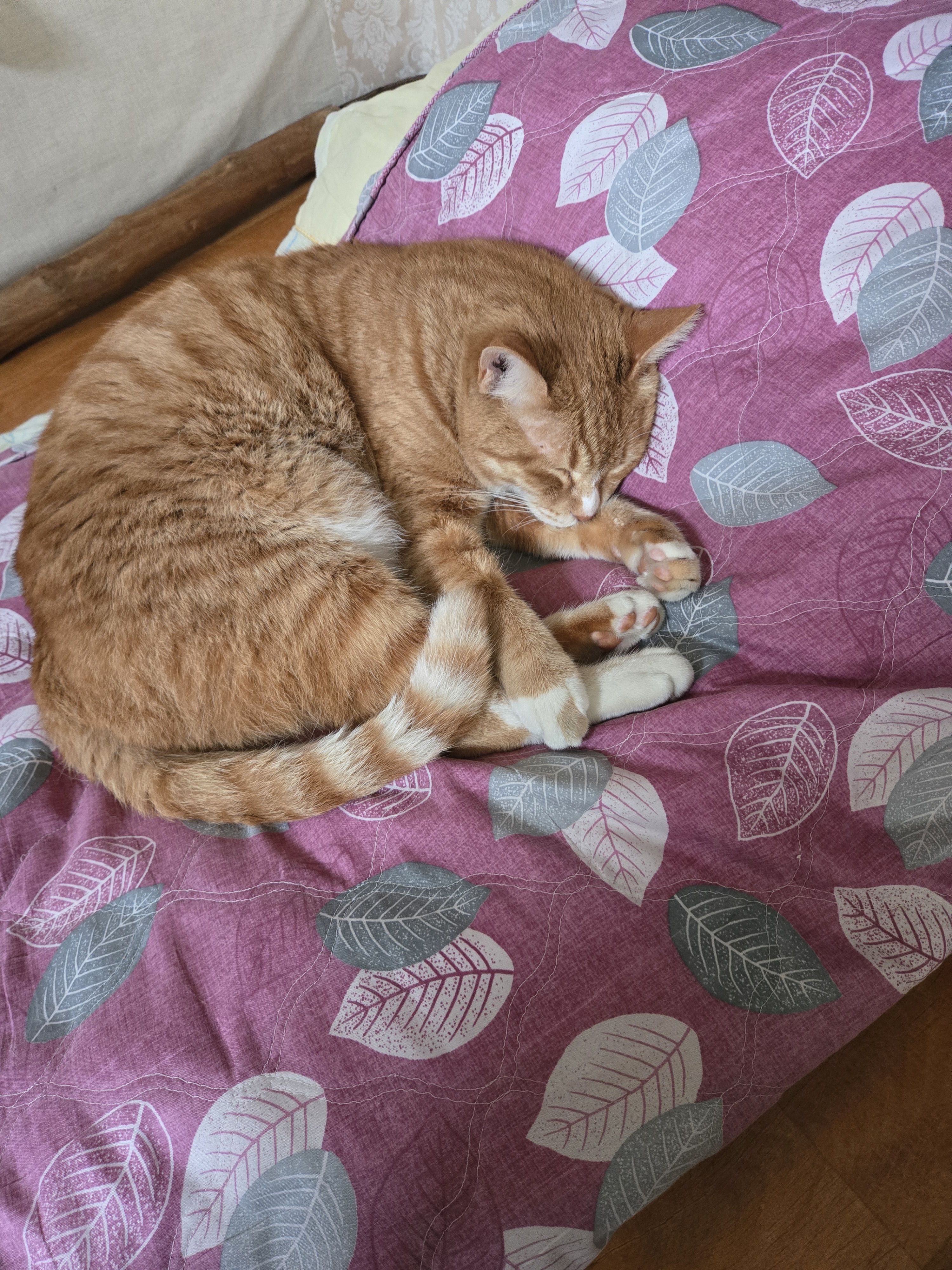 게시글 대표 이미지