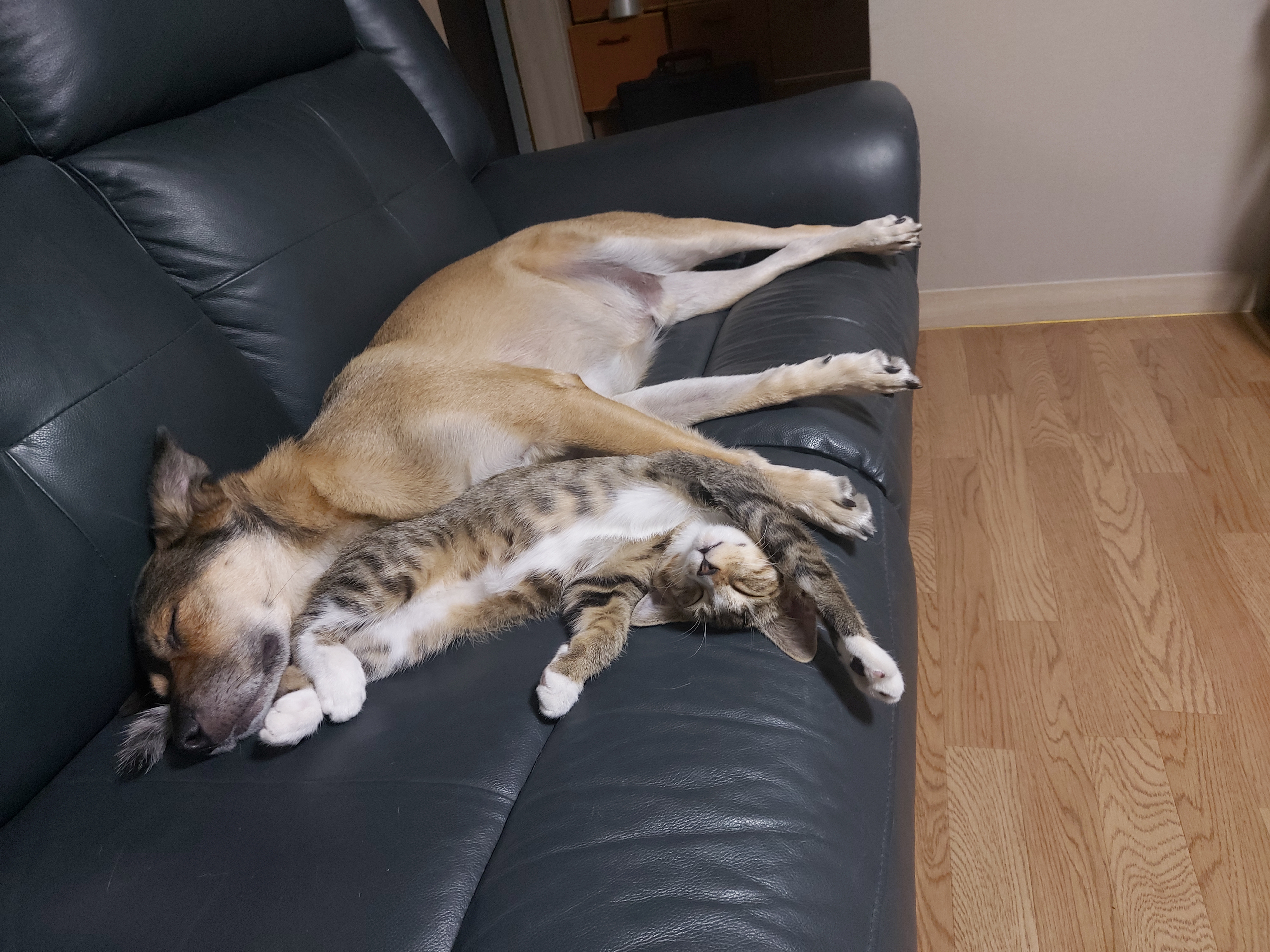 게시글 대표 이미지