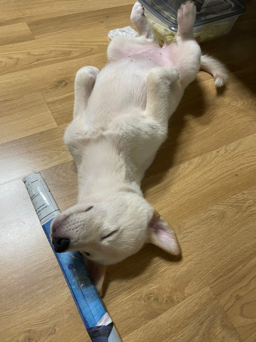 대표이미지