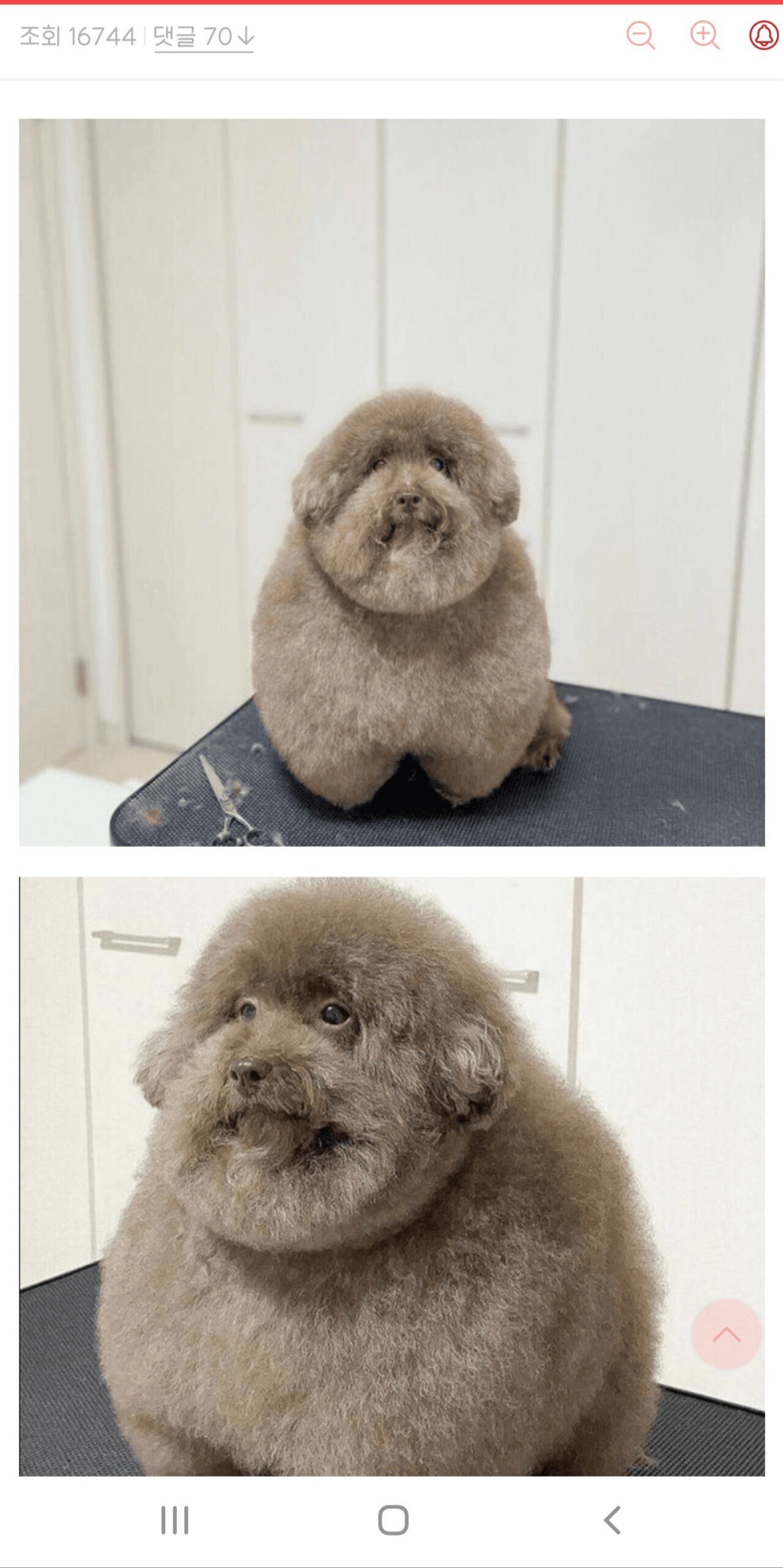 대표이미지