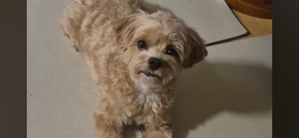 게시글 대표 이미지