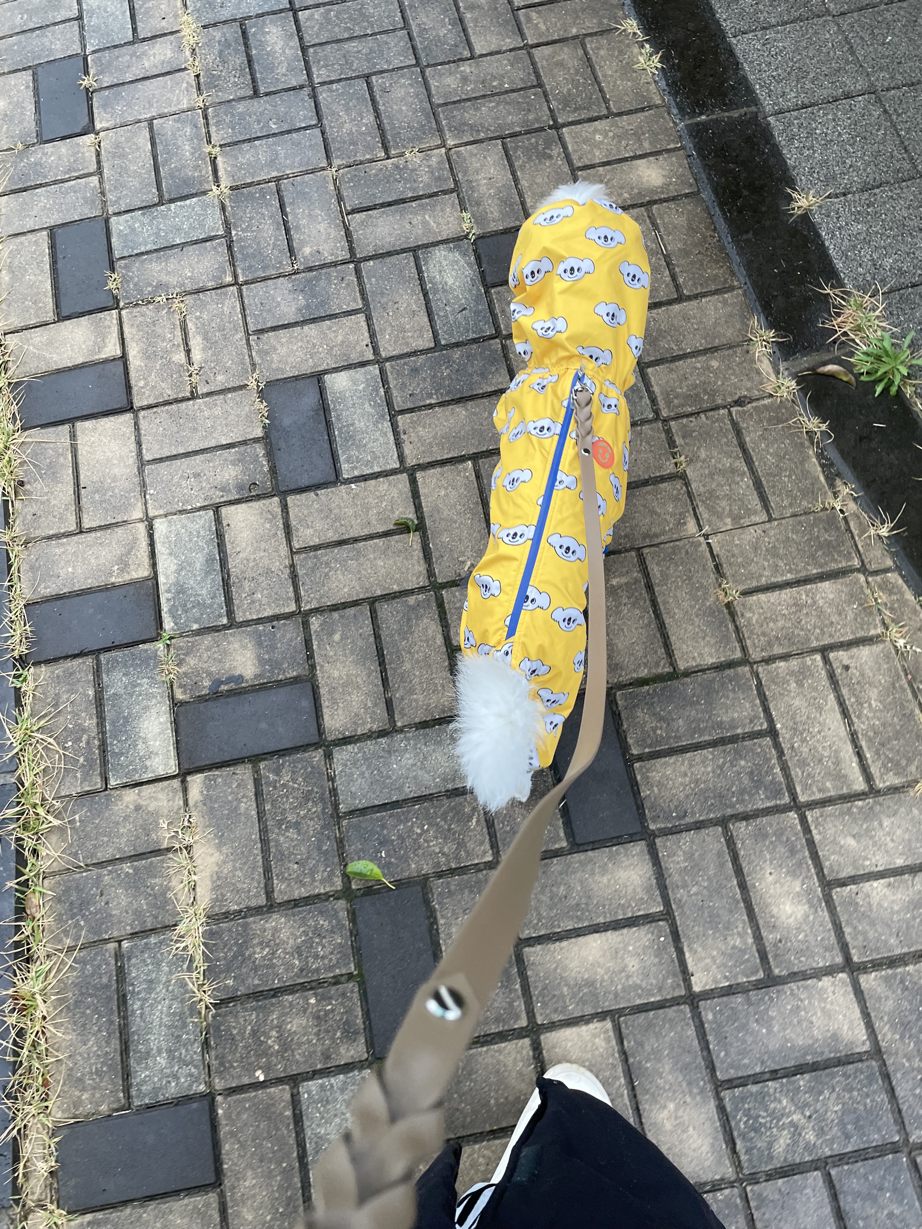 대표이미지