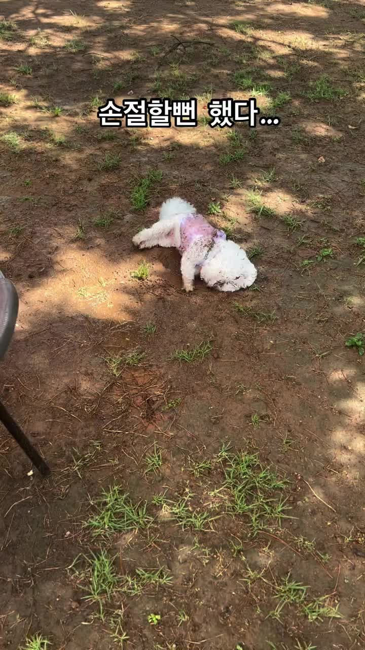 게시글 대표 이미지