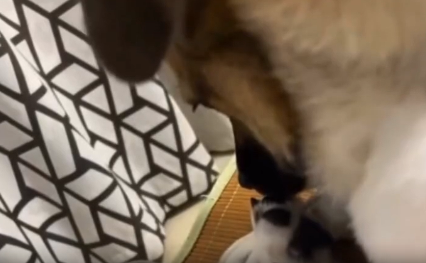 게시글 대표 이미지