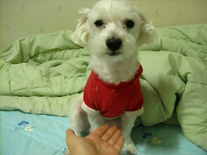 게시글 대표 이미지