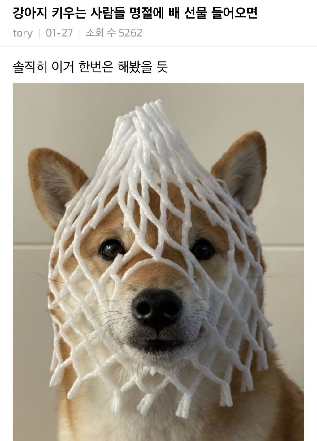게시글 대표 이미지