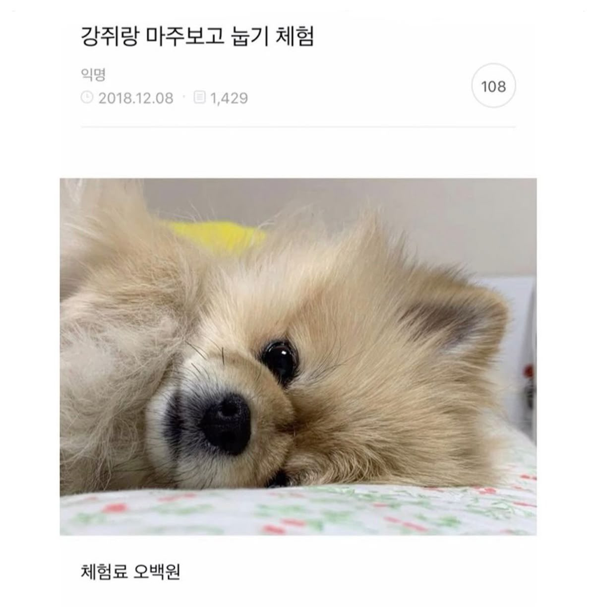 게시글 대표 이미지