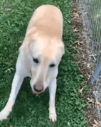 게시글 대표 이미지