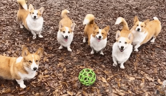 게시글 대표 이미지