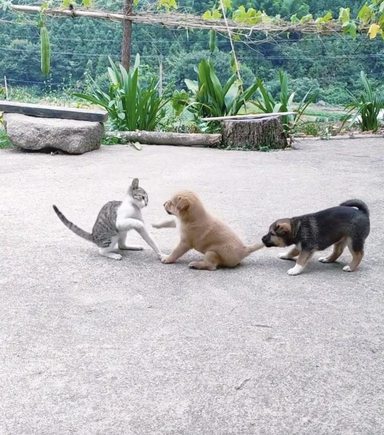 게시글 대표 이미지