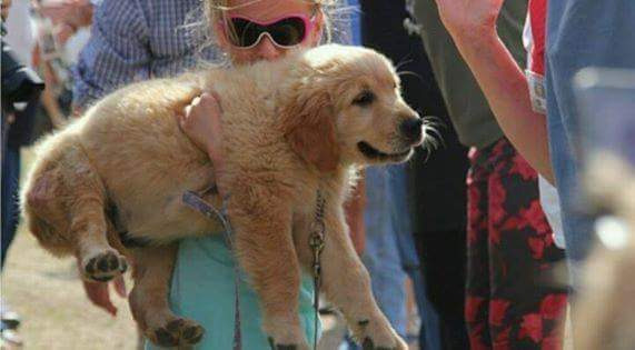 게시글 대표 이미지