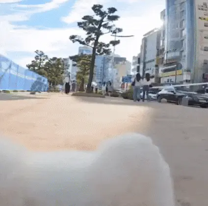 게시글 대표 이미지