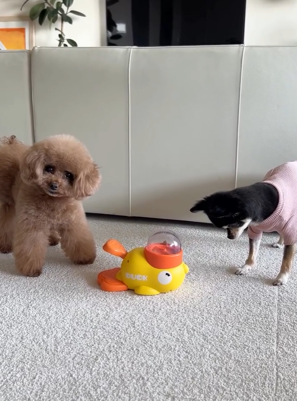 게시글 대표 이미지