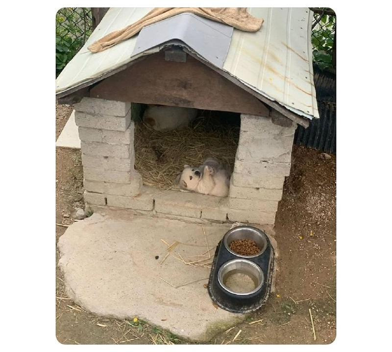 게시글 대표 이미지