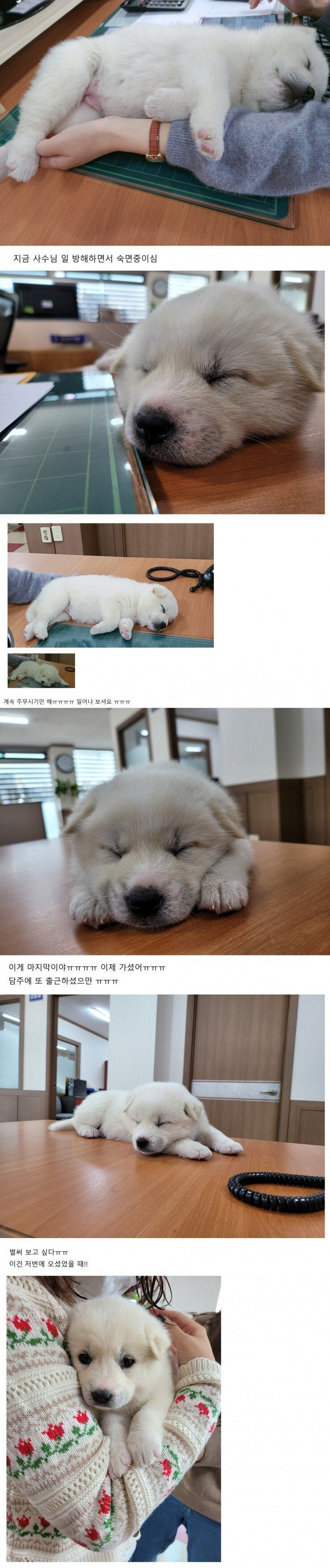 게시글 대표 이미지