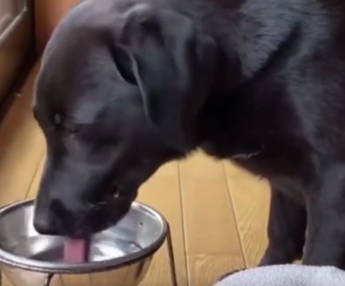 게시글 대표 이미지