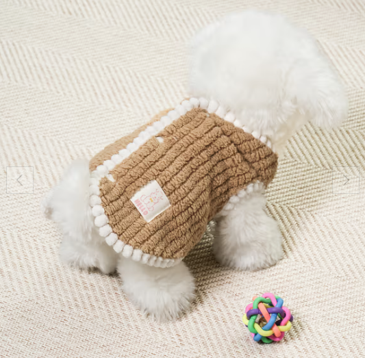 게시글 대표 이미지