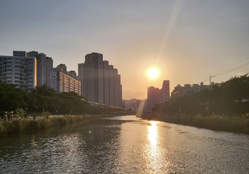 게시글 대표 이미지