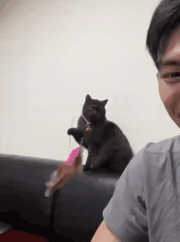 게시글 대표 이미지