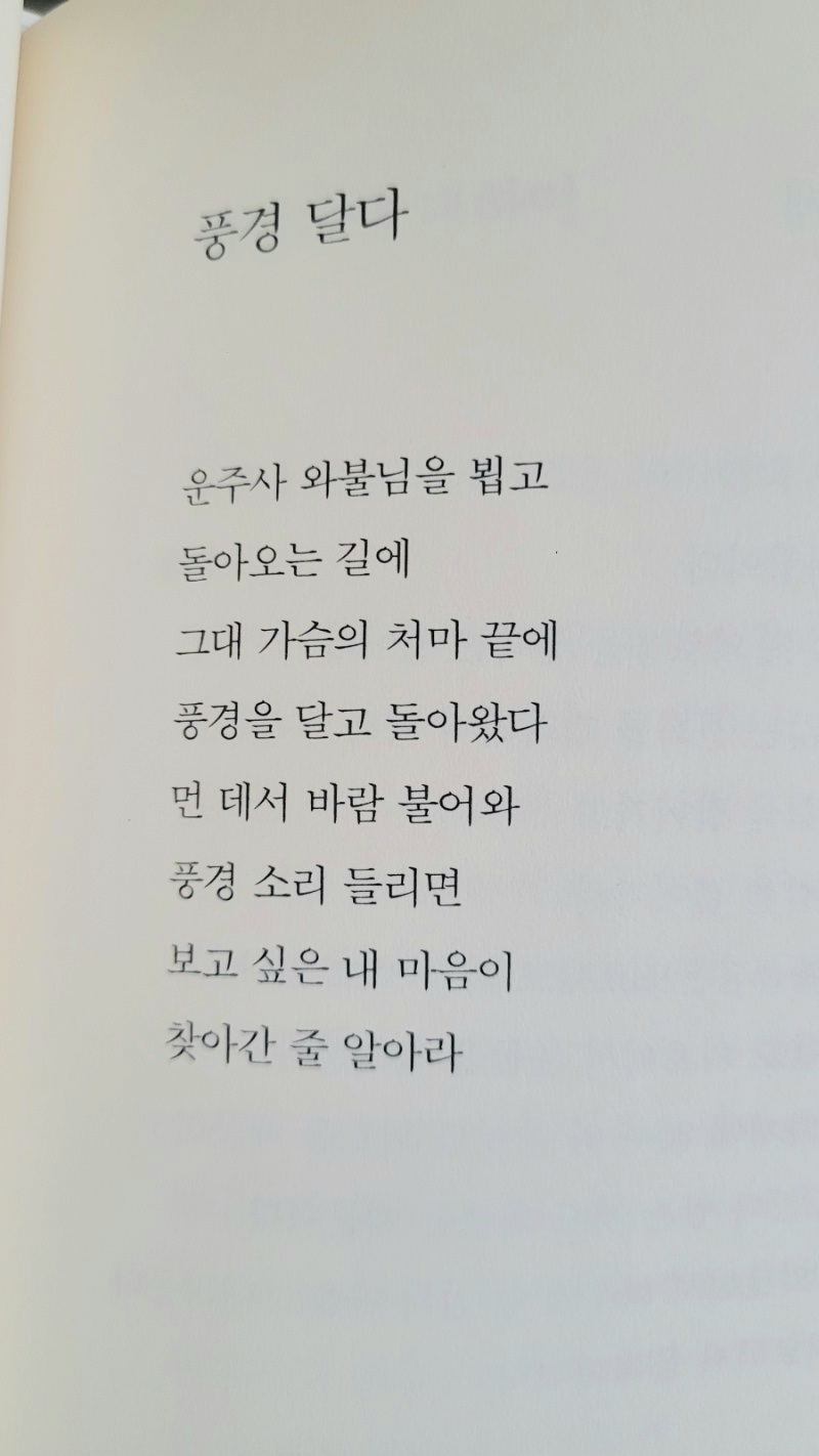 게시글 대표 이미지