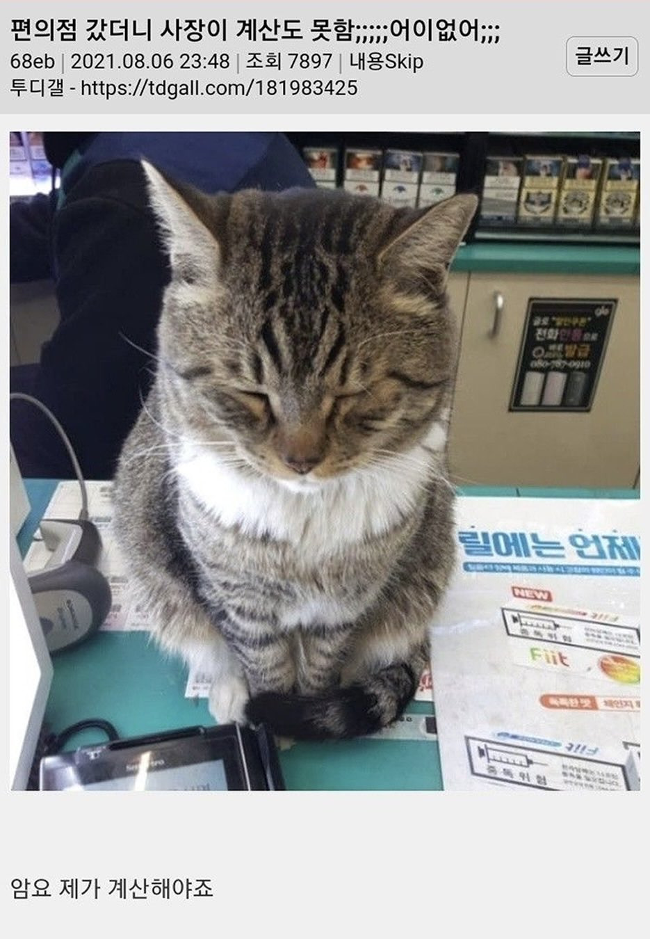 게시글 대표 이미지