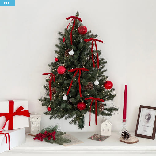 게시글 대표 이미지