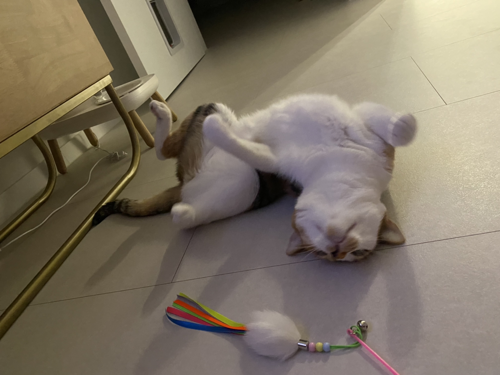 게시글 대표 이미지