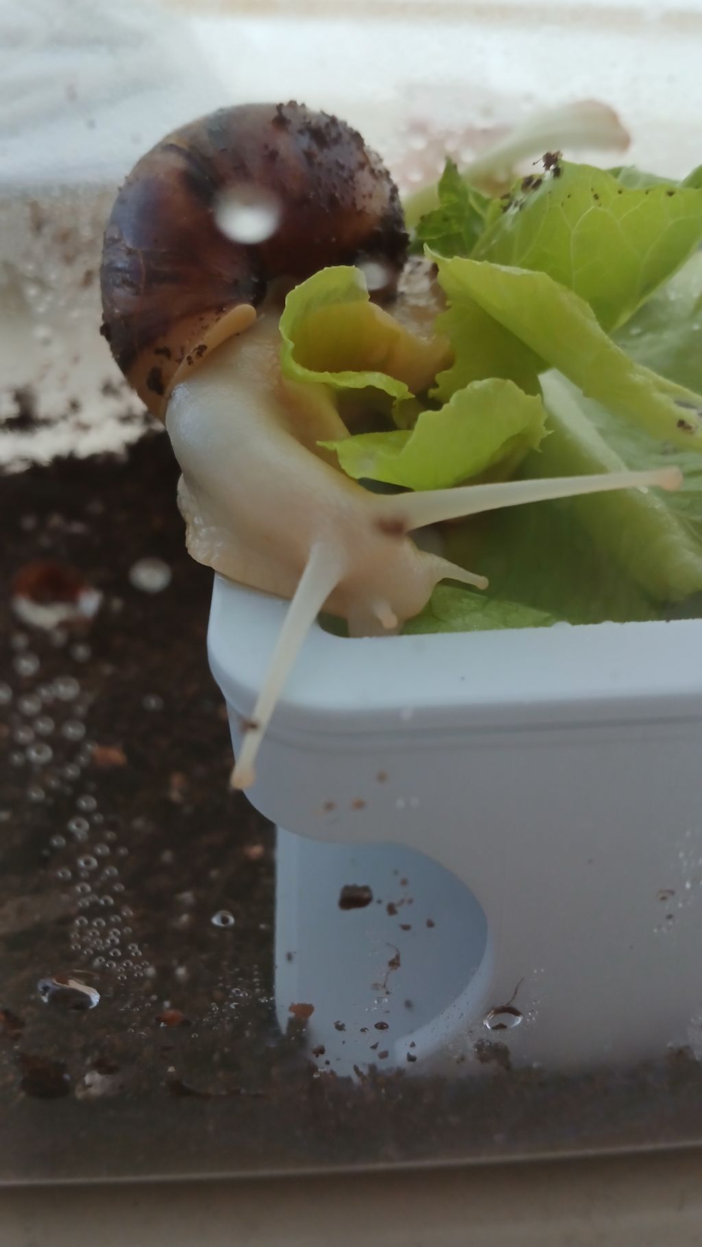 게시글 대표 이미지