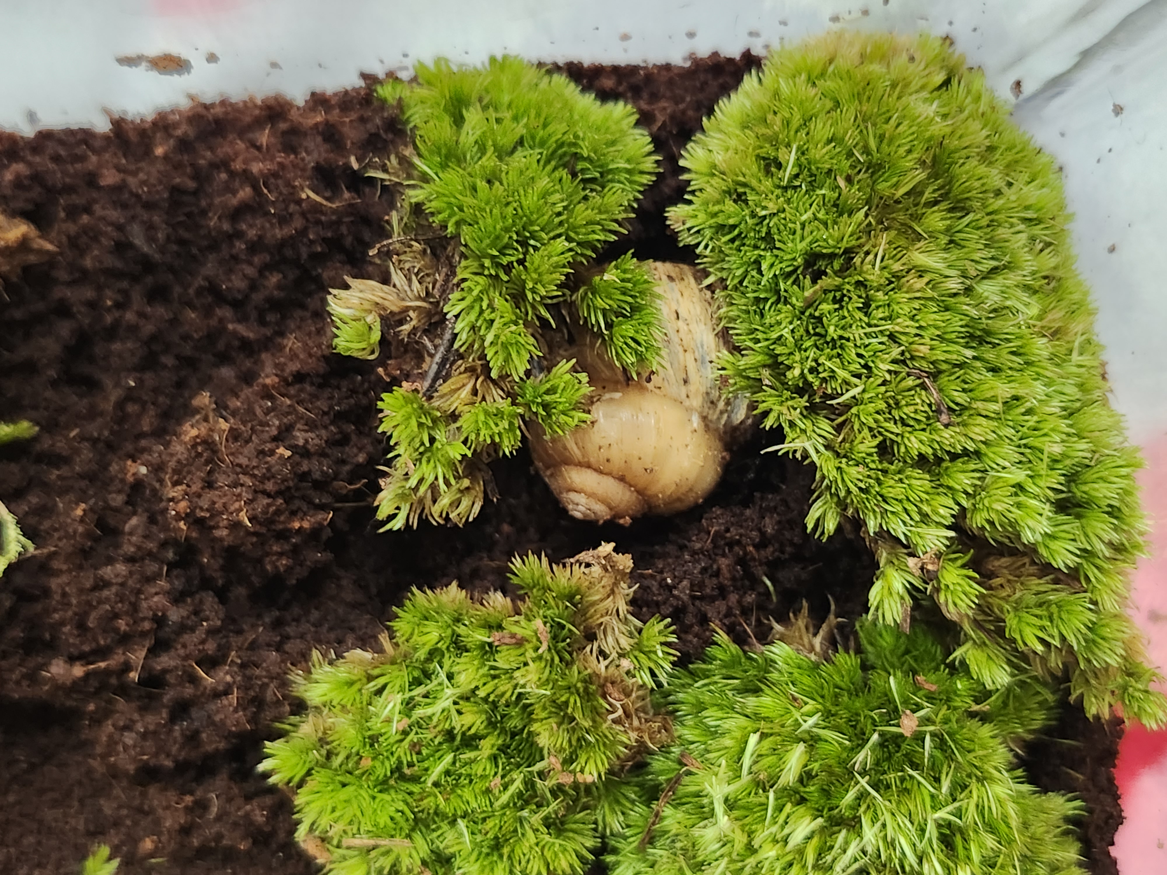 게시글 대표 이미지