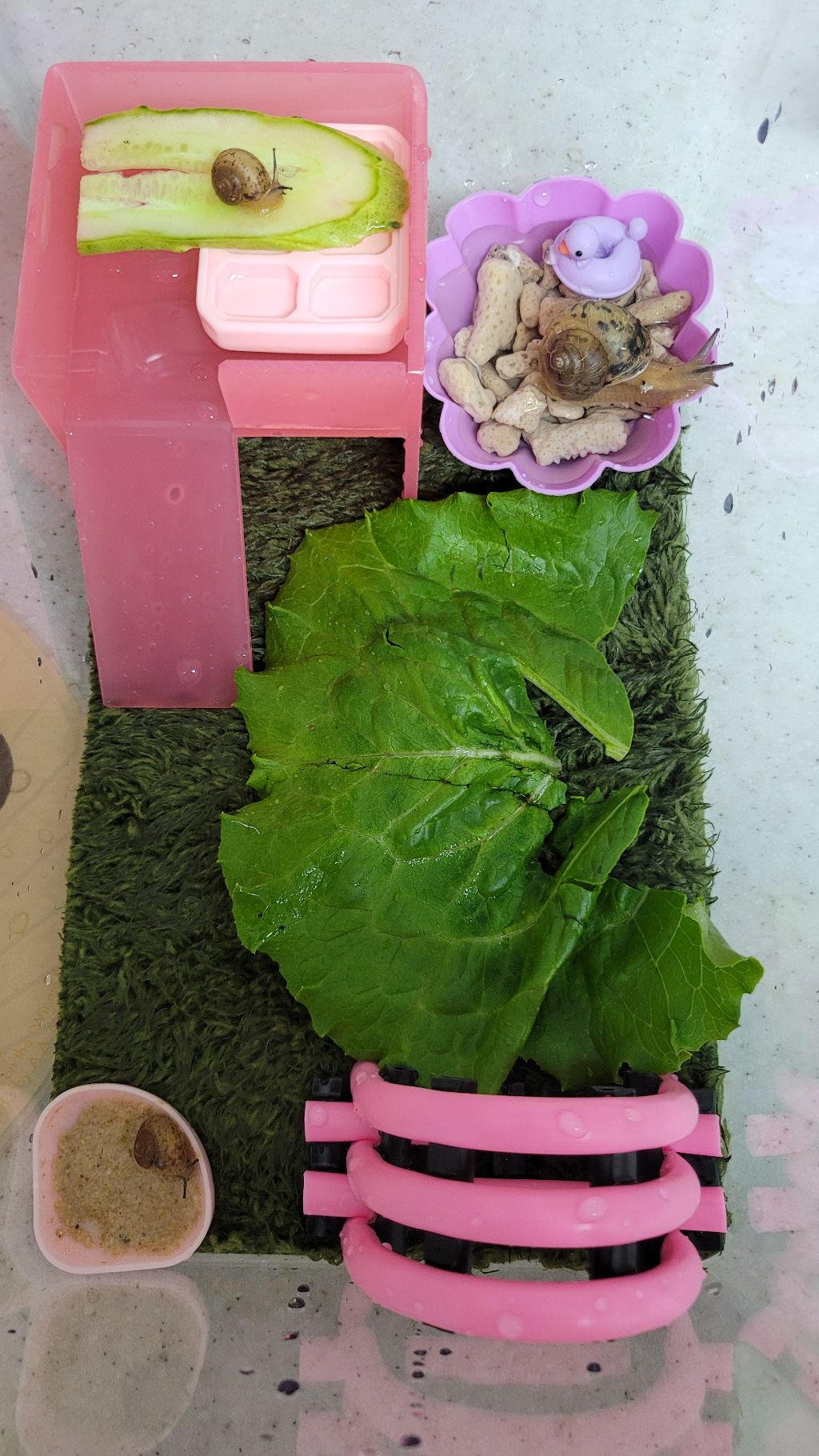 게시글 대표 이미지