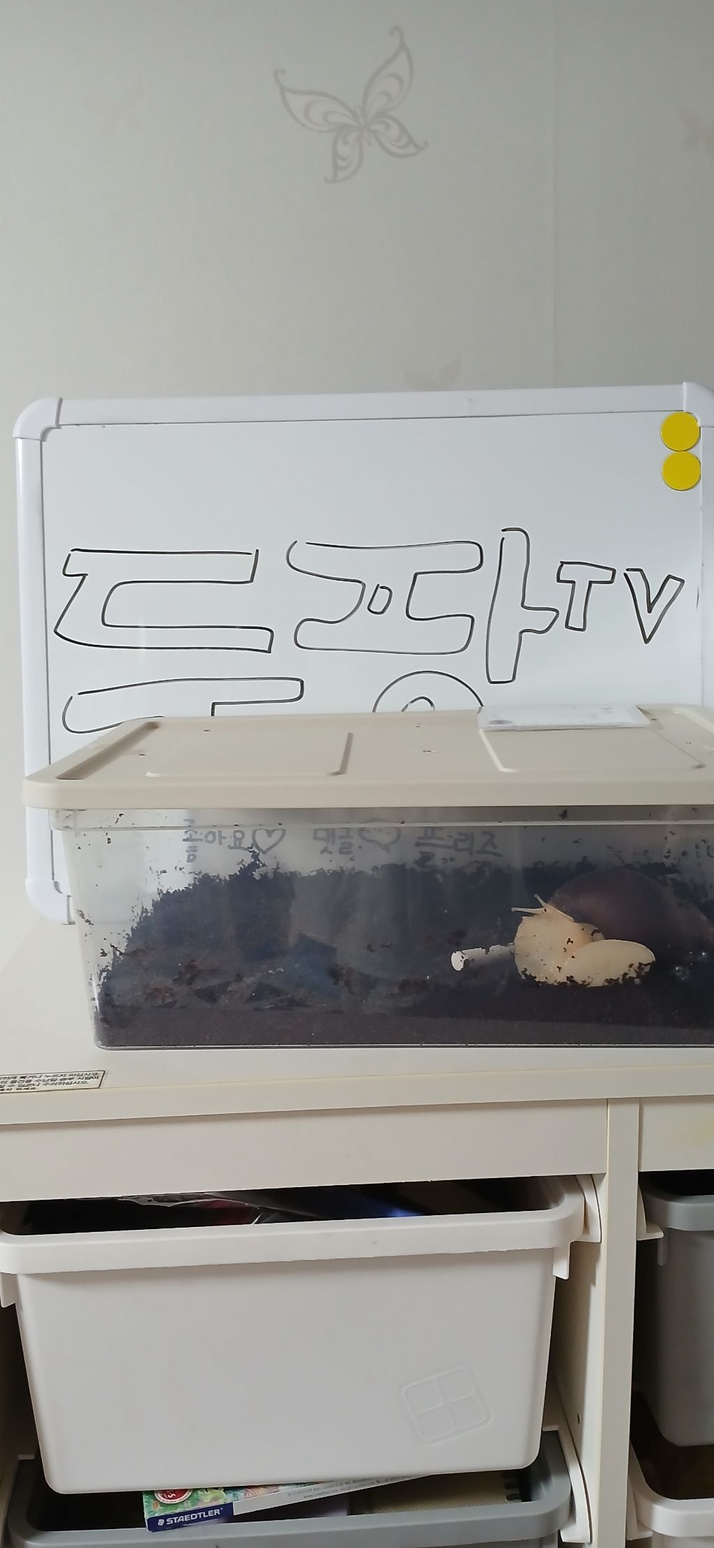 게시글 대표 이미지