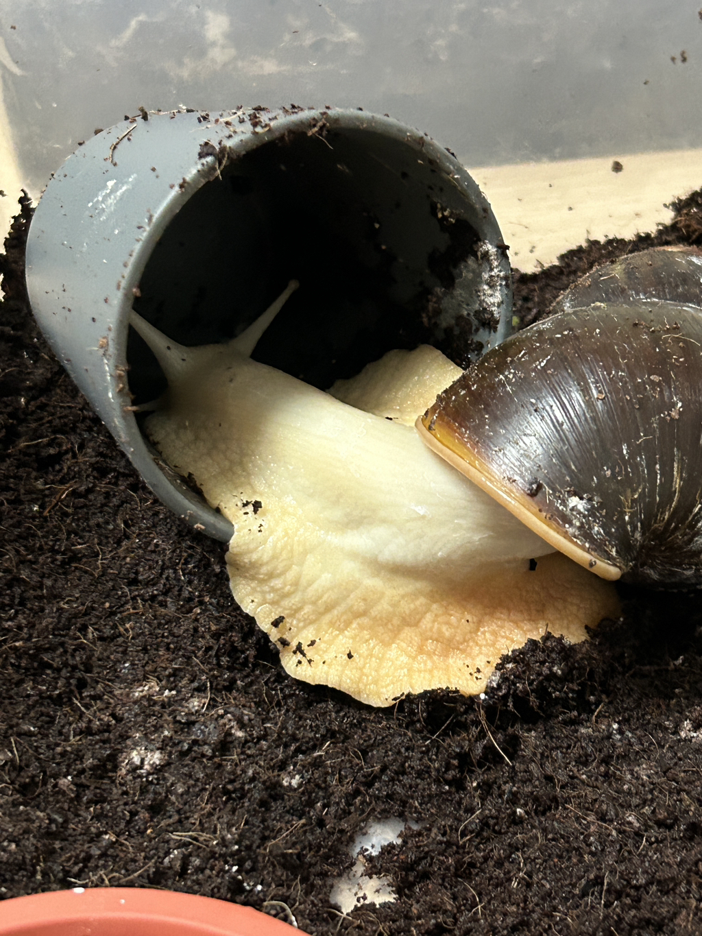 게시글 대표 이미지