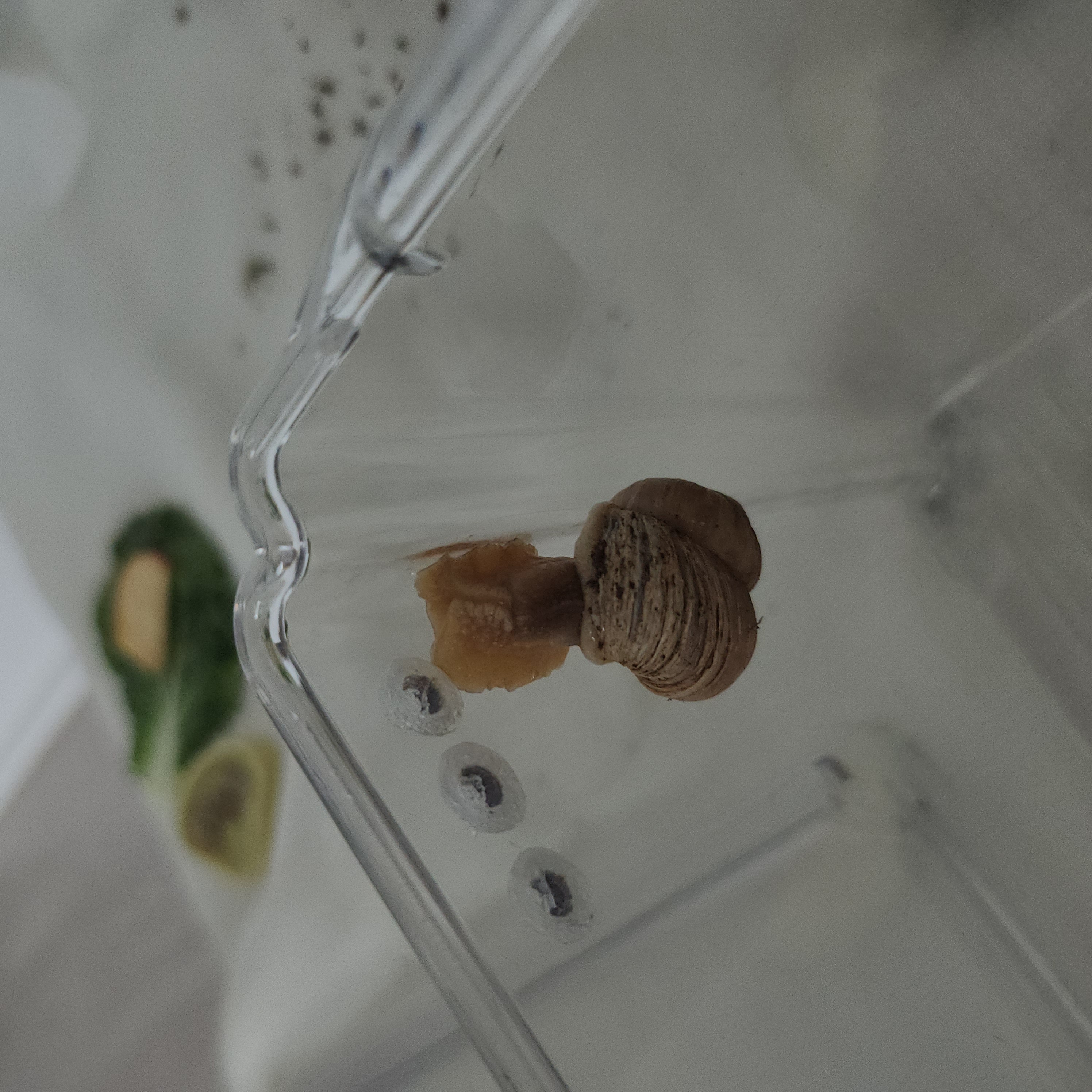 게시글 대표 이미지