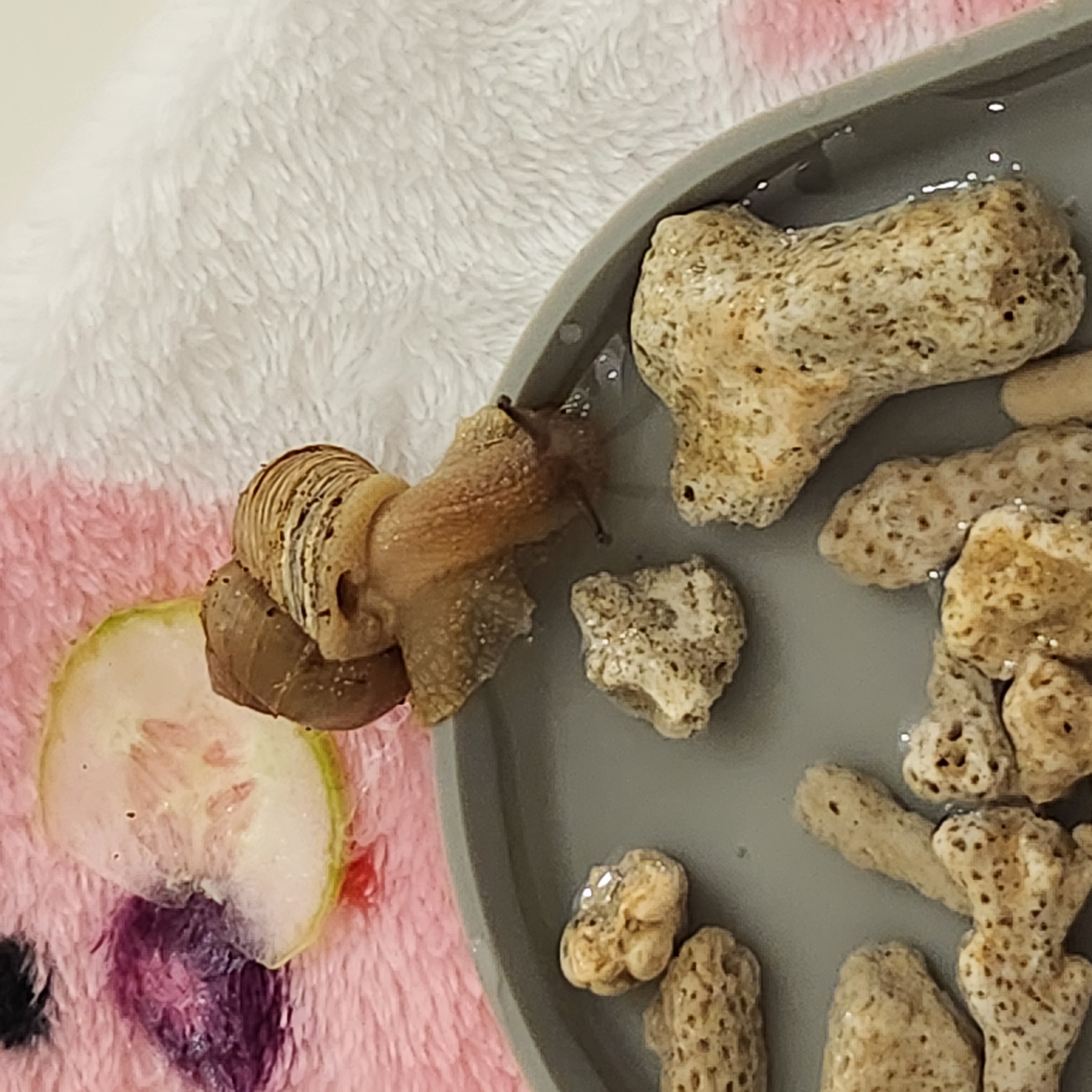 게시글 대표 이미지