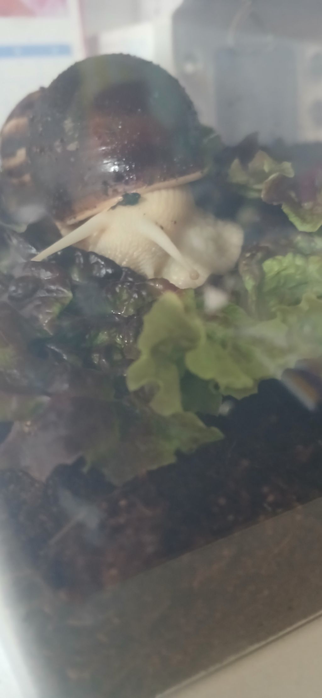 게시글 대표 이미지