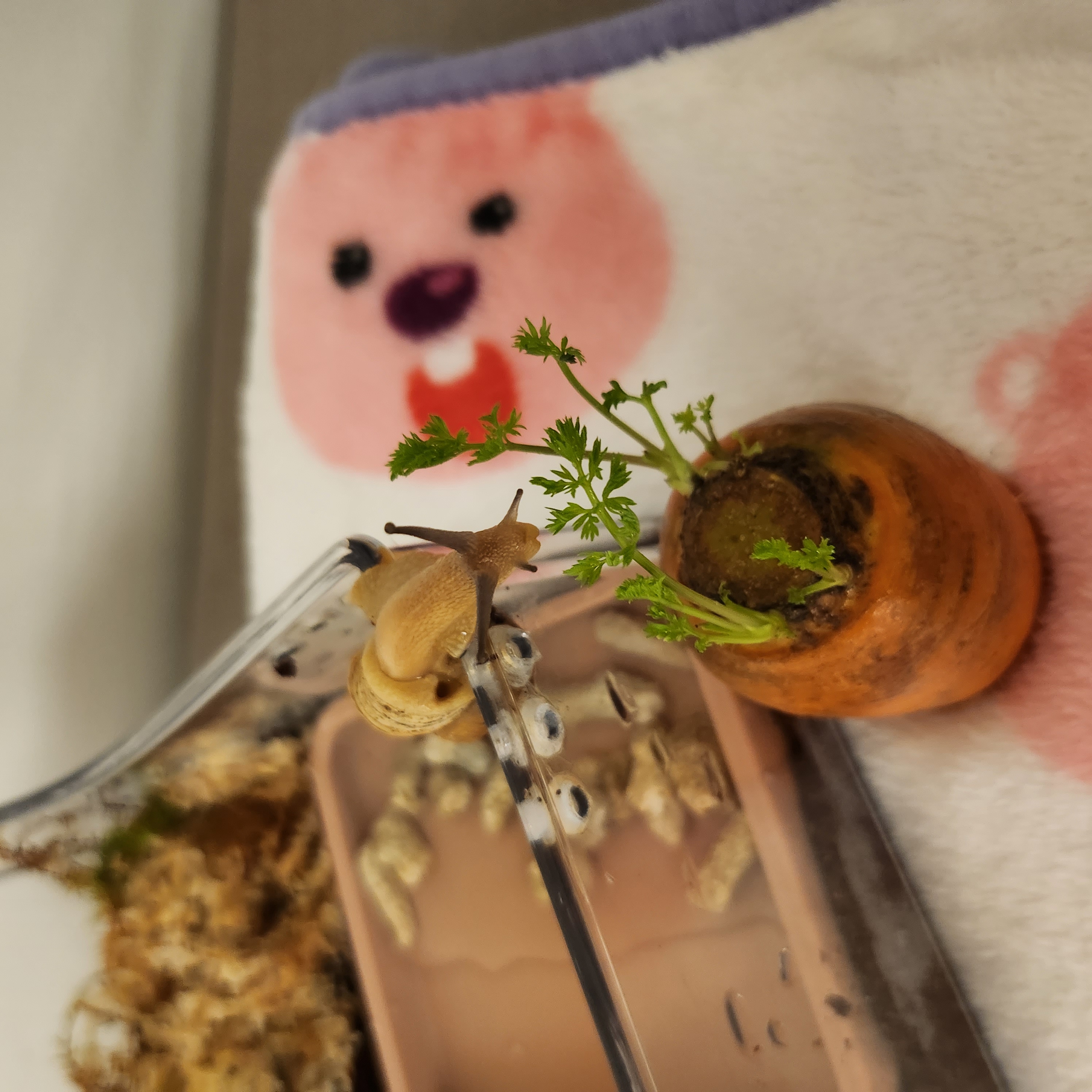 게시글 대표 이미지