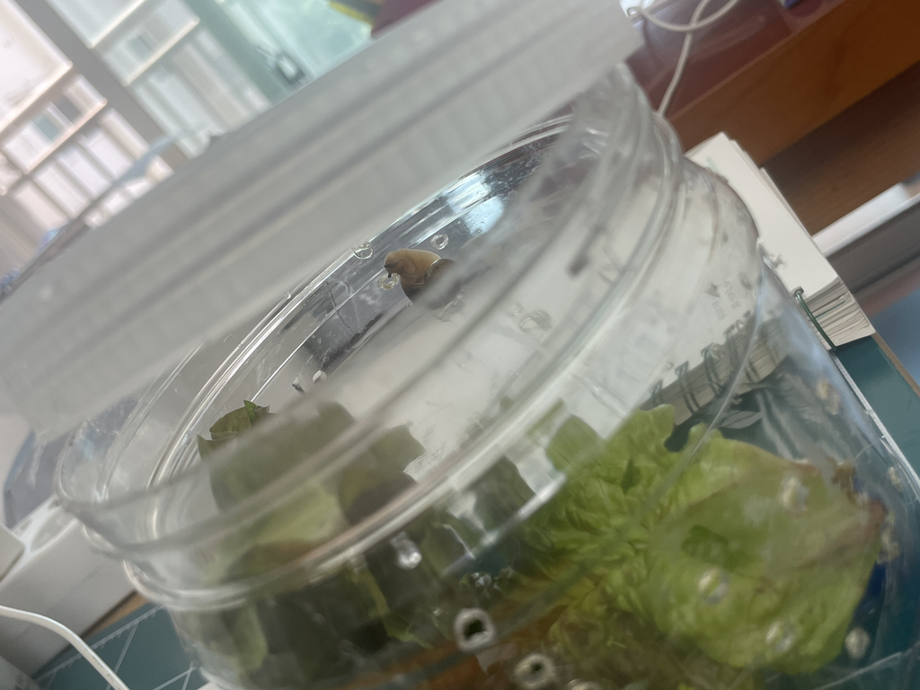 게시글 대표 이미지