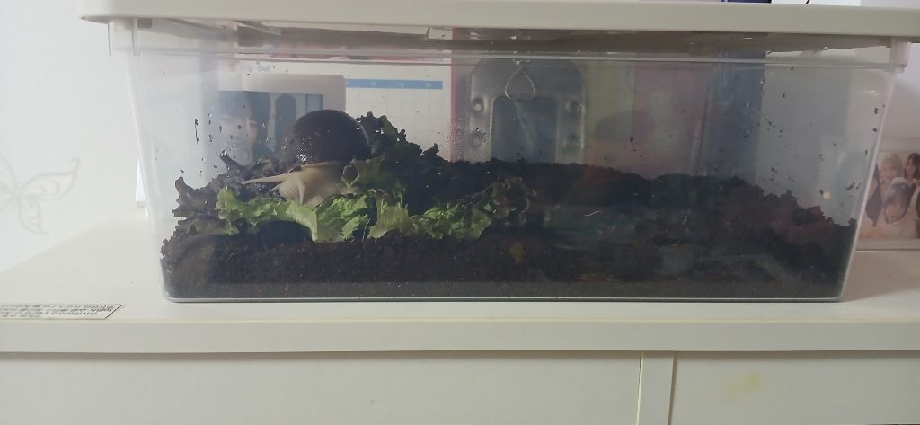 게시글 대표 이미지