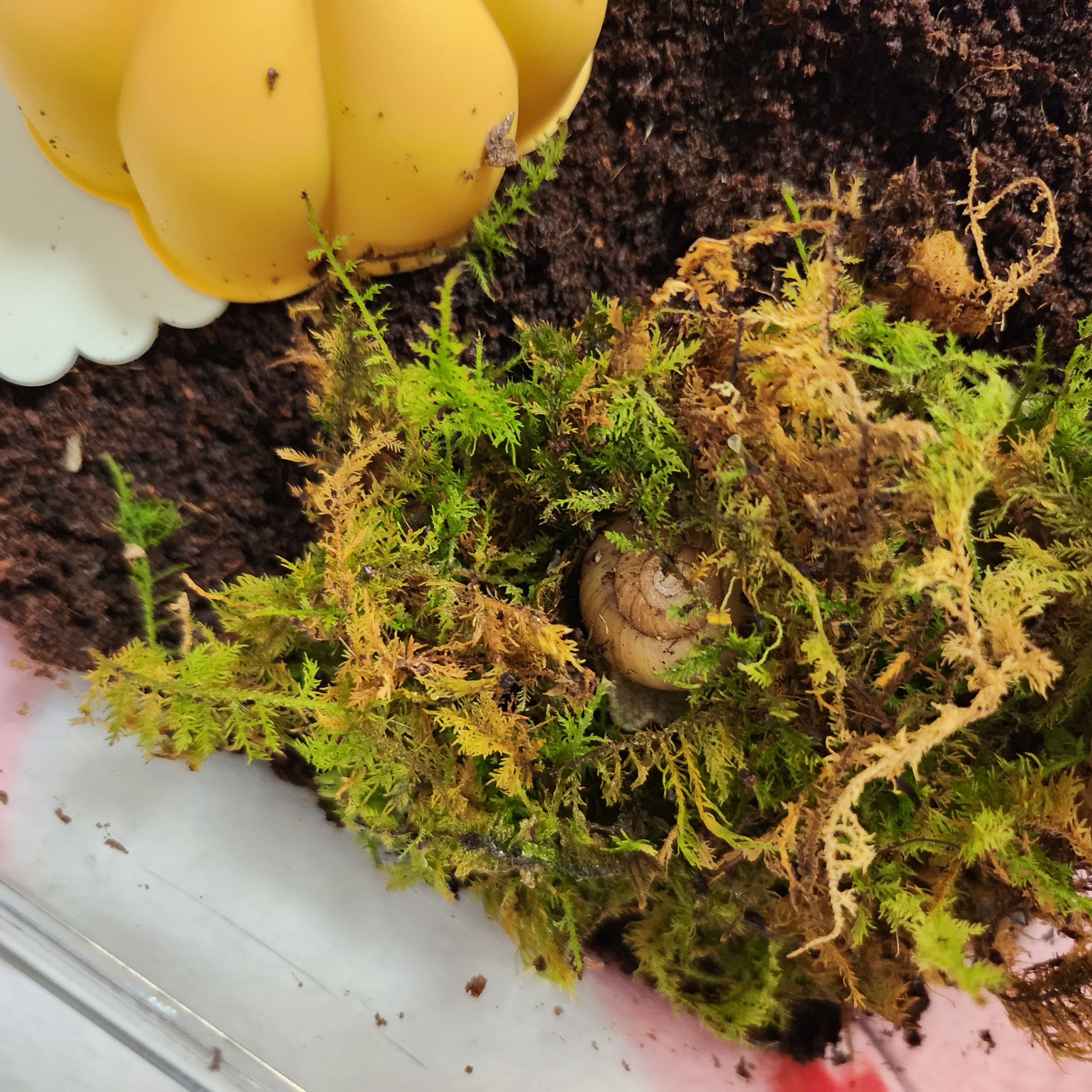 게시글 대표 이미지