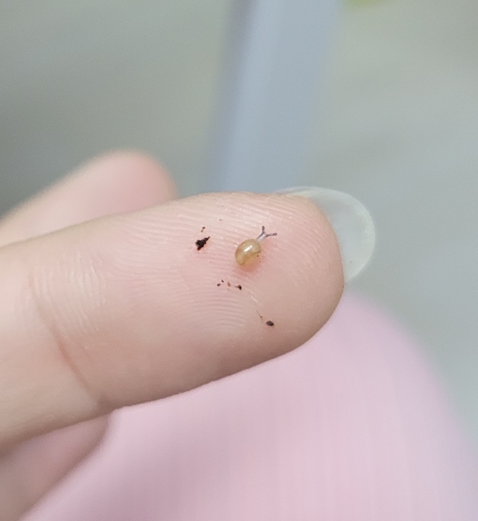 게시글 대표 이미지