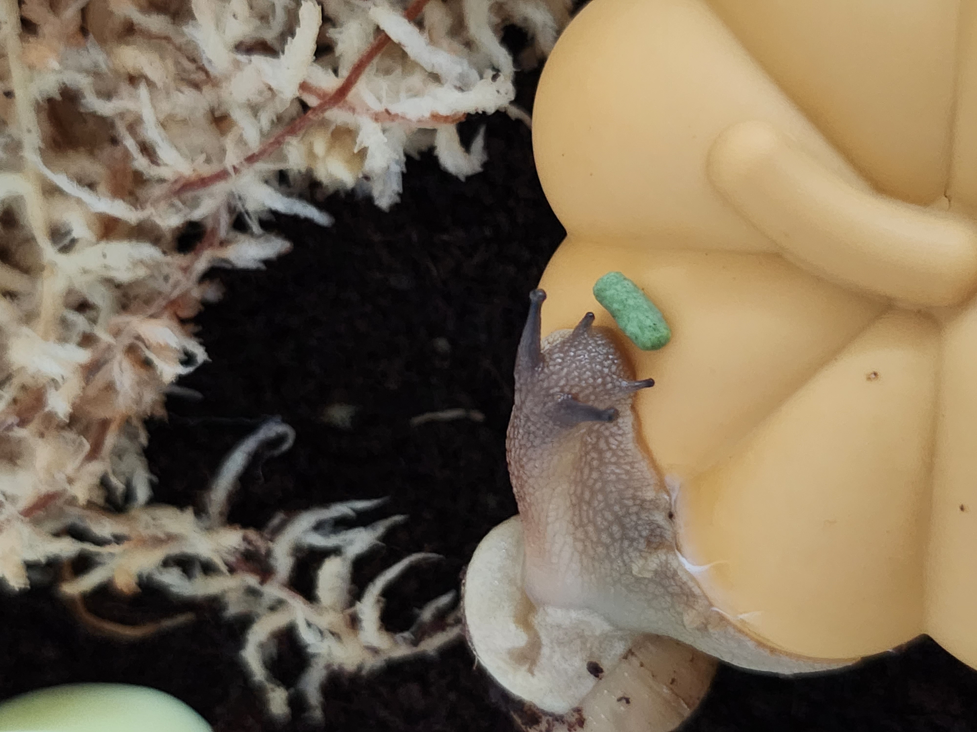 게시글 대표 이미지