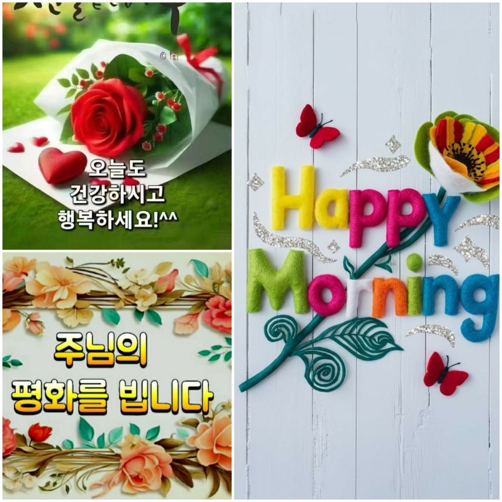게시글 대표 이미지