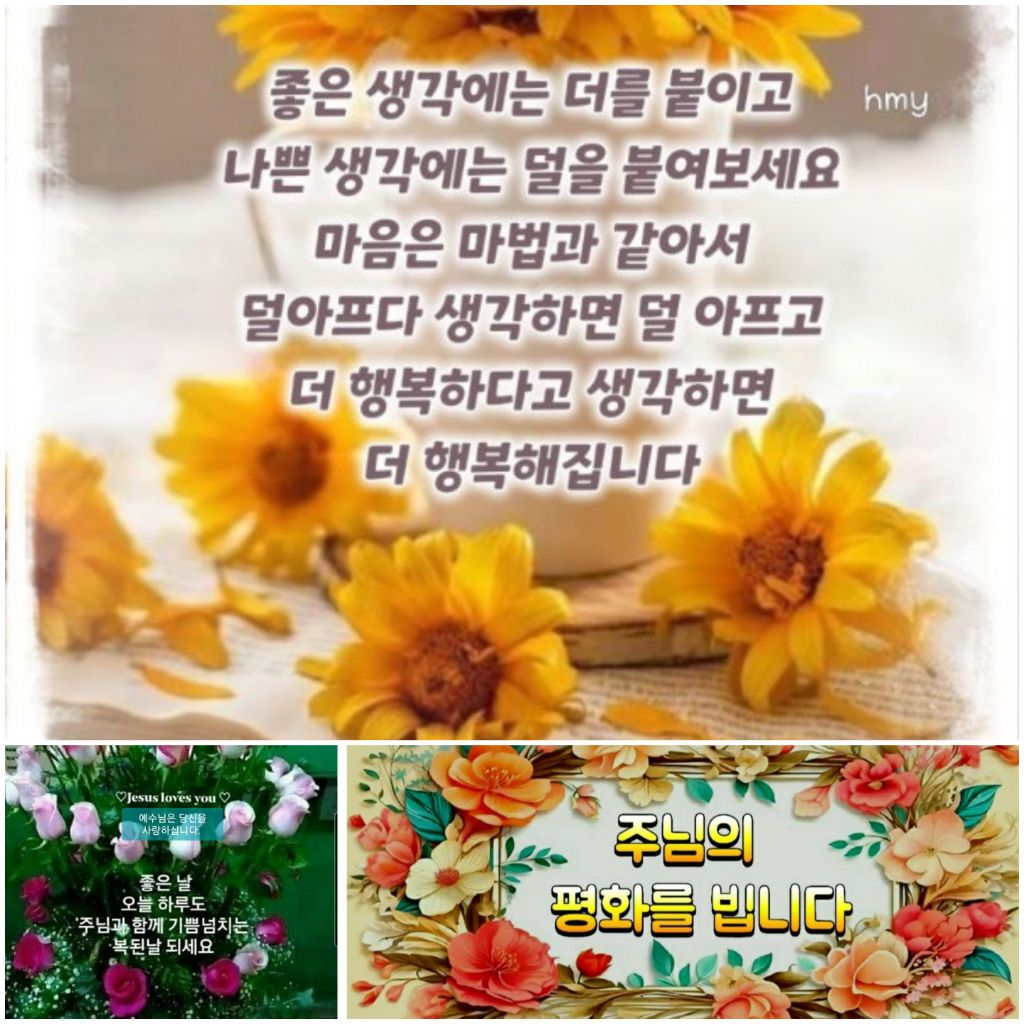 게시글 대표 이미지