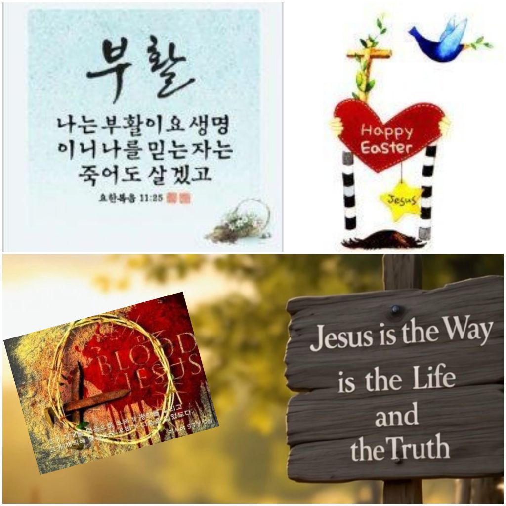 게시글 대표 이미지