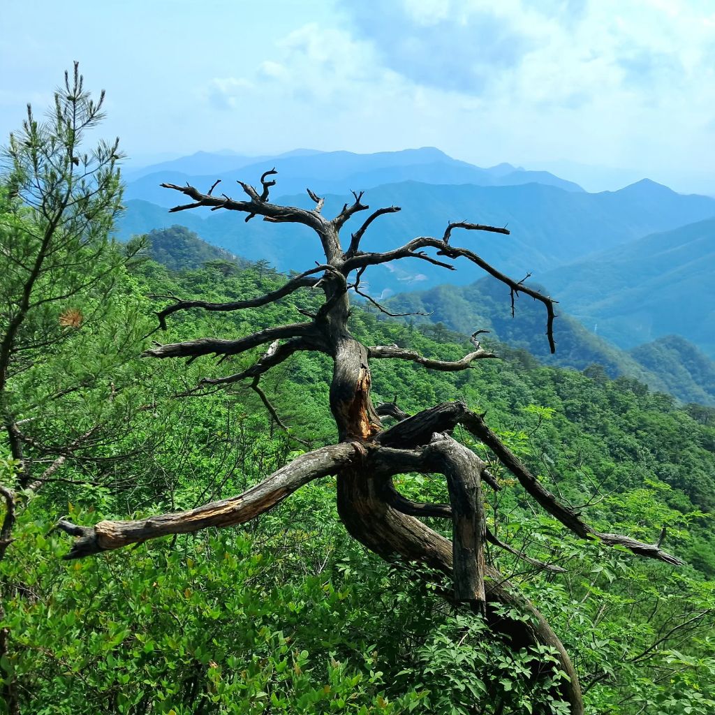 게시글 대표 이미지