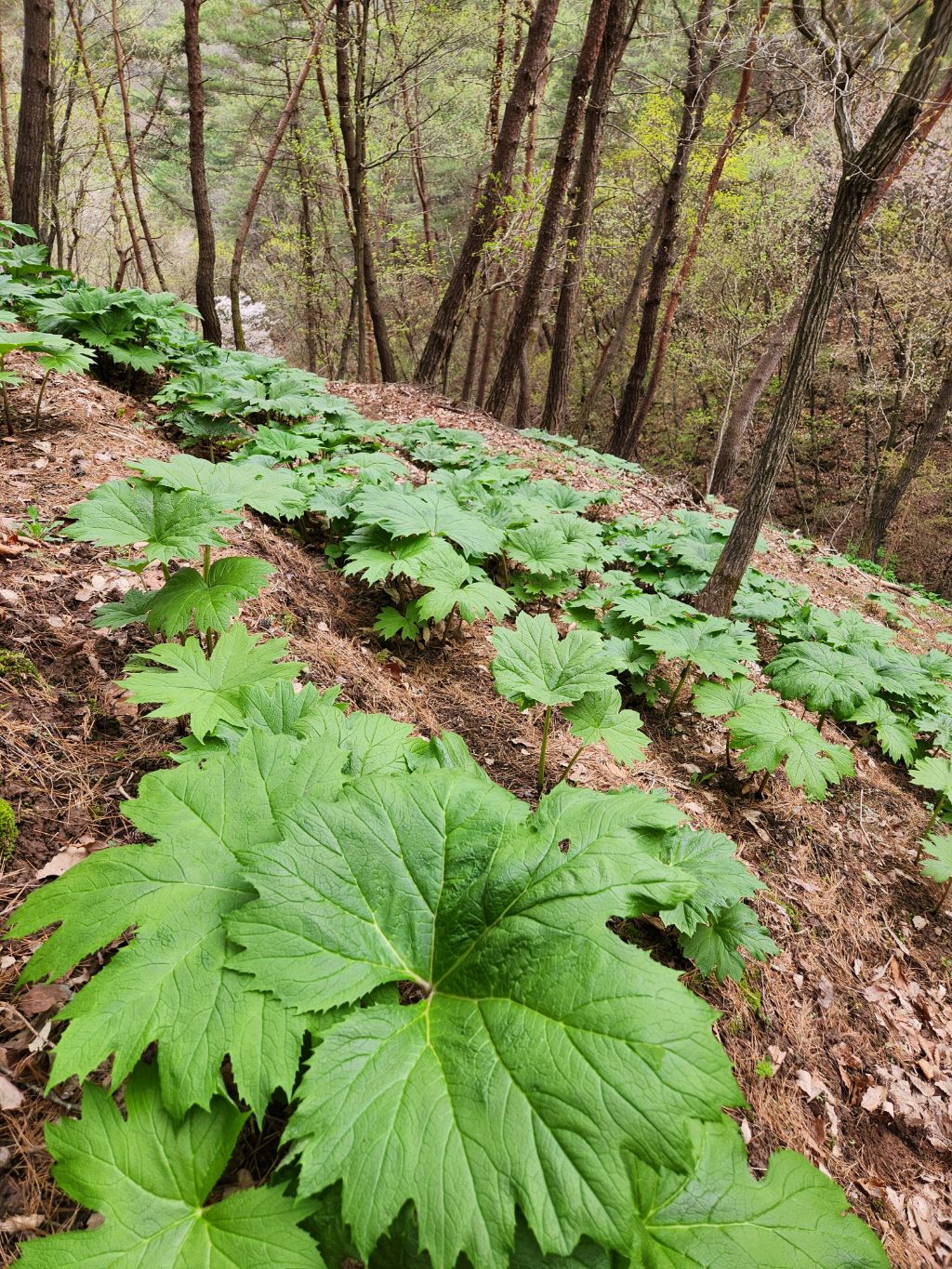 게시글 대표 이미지